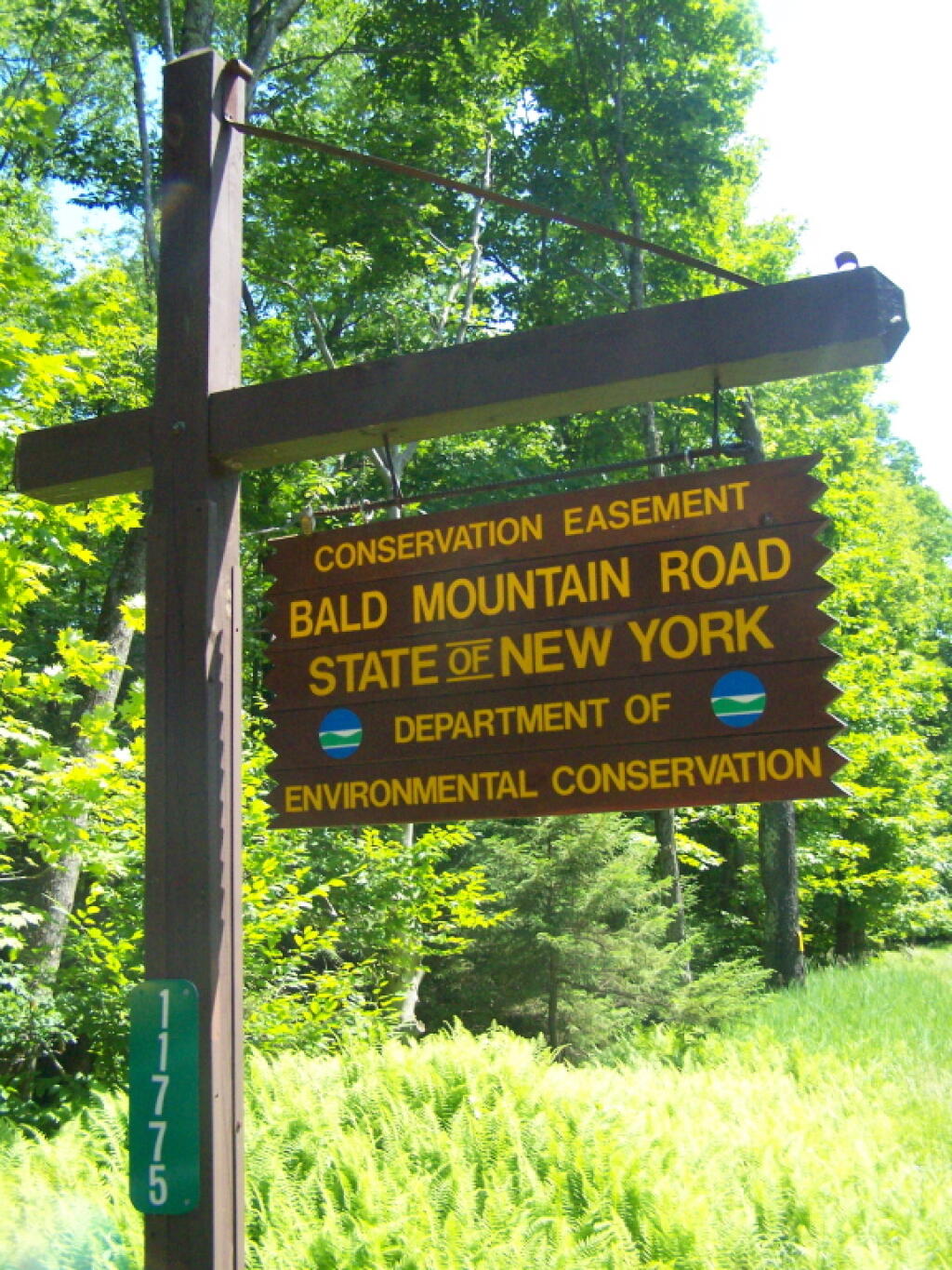 Photo: Bald Mountain Road Sign