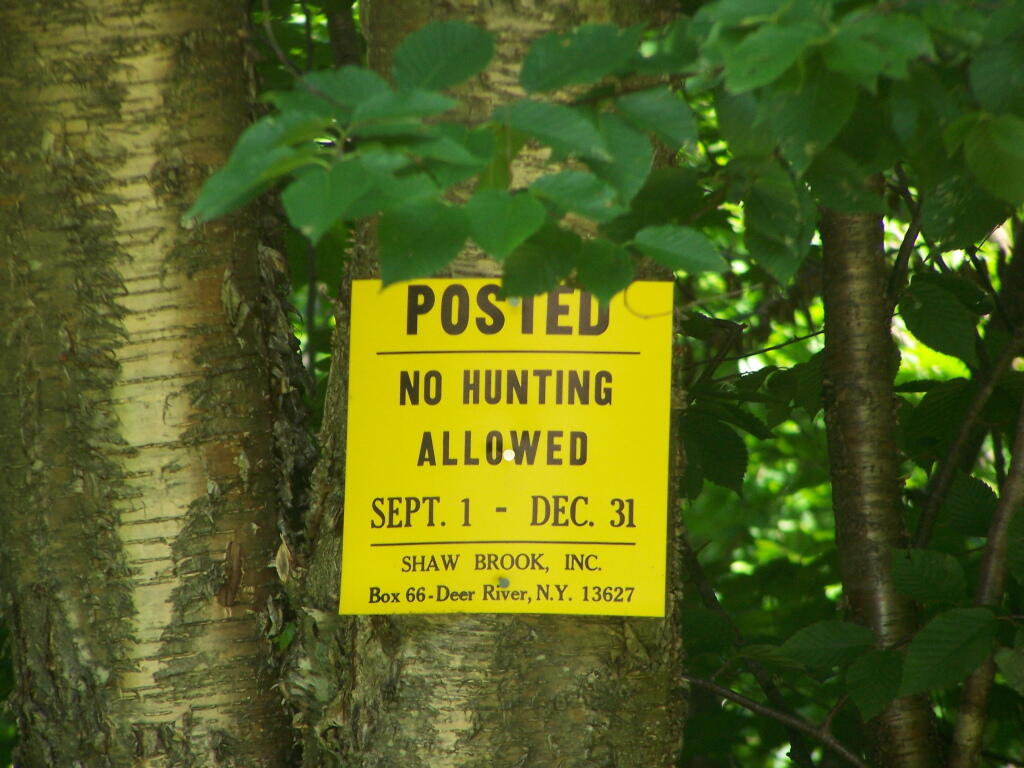 Photo: Another No Hunting Sign
