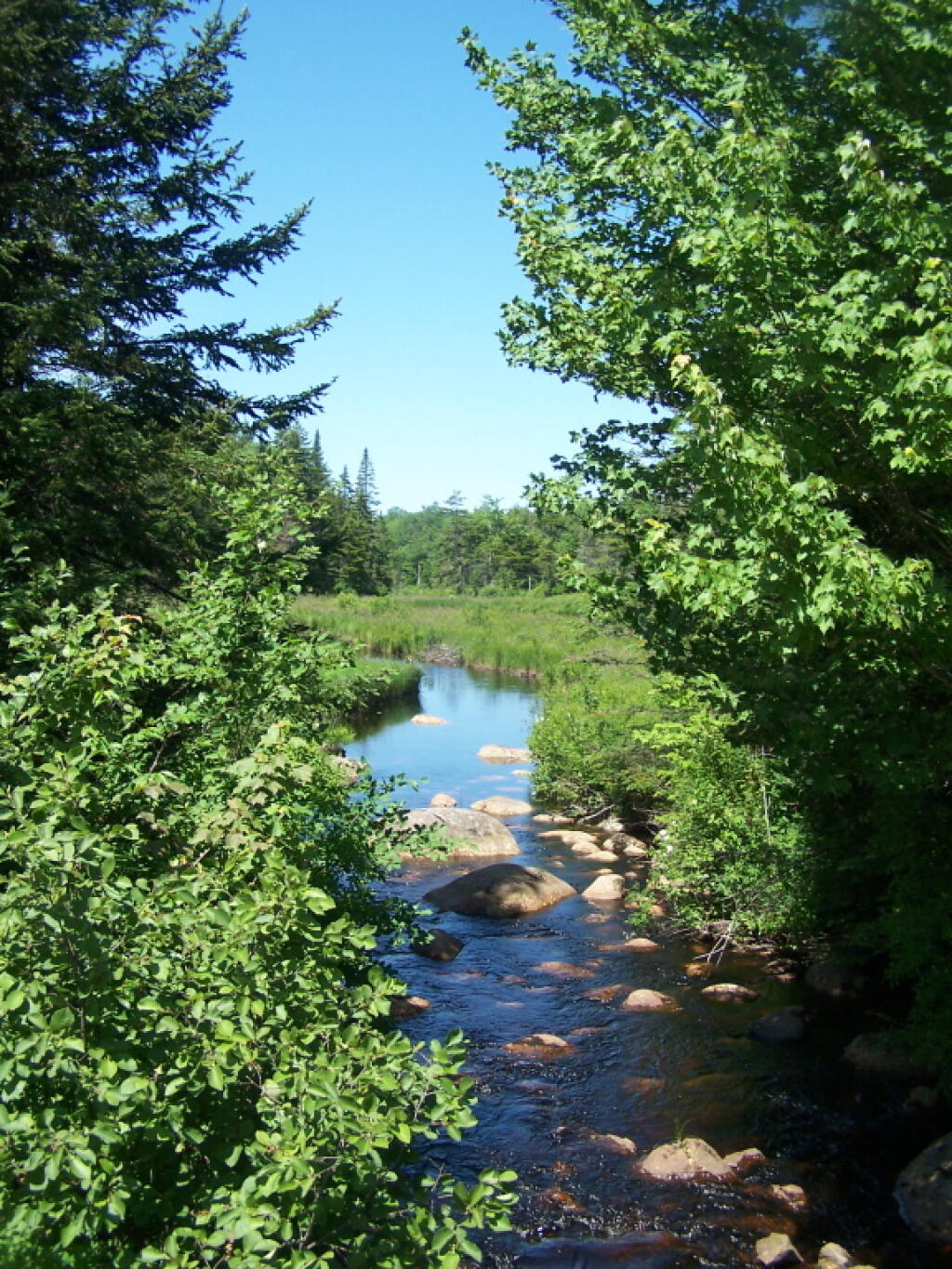 Photo: Shaw Brook Photo: Shaw Brook