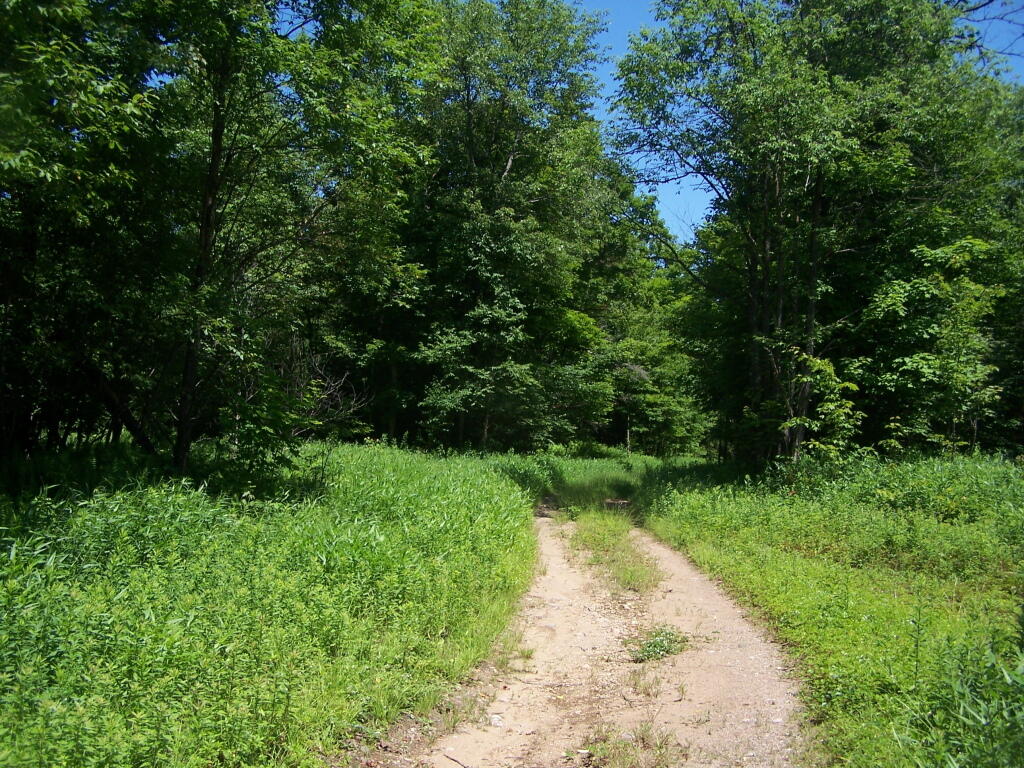 Photo: Number One Truck Trail