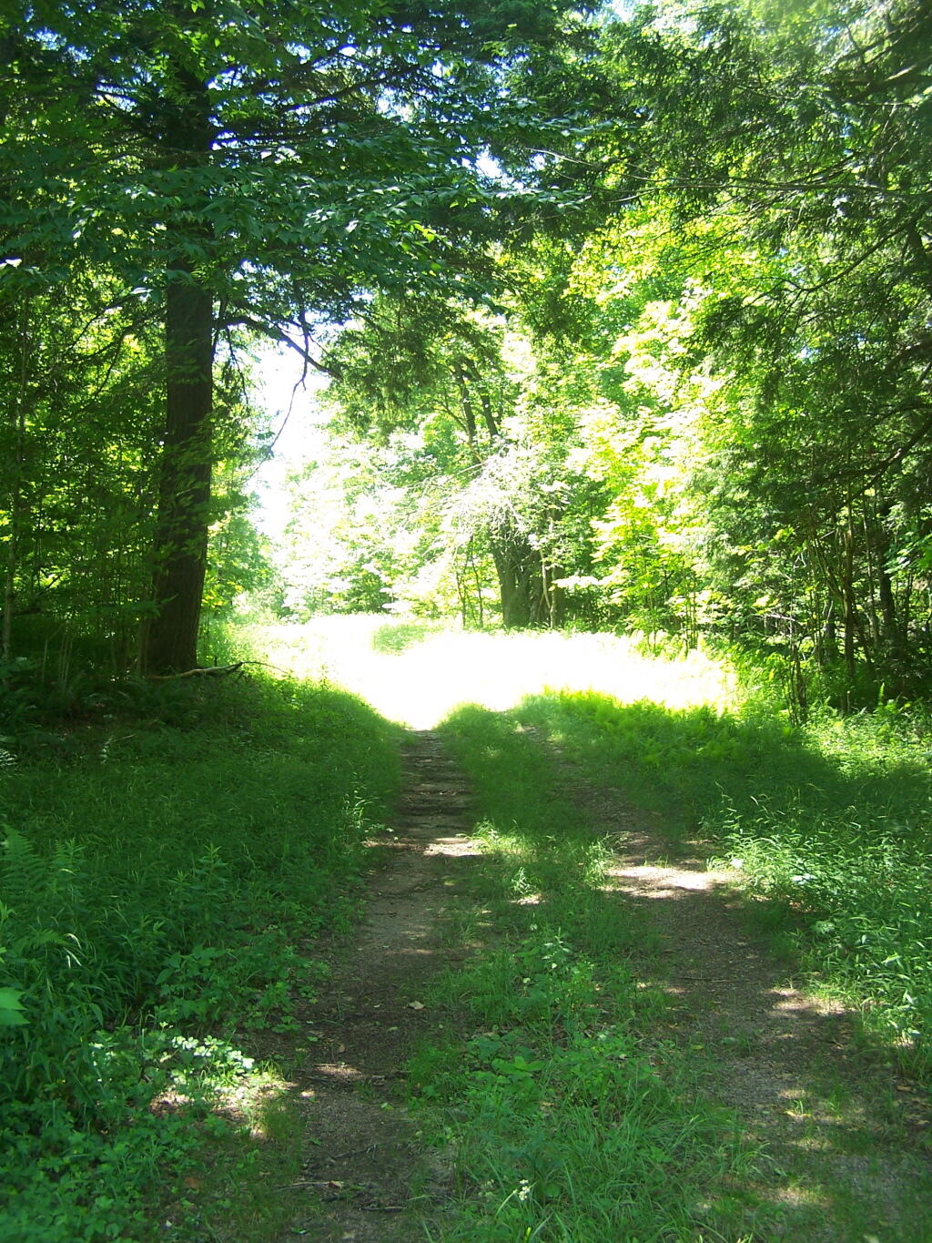 Photo: Wider Section of Number One
