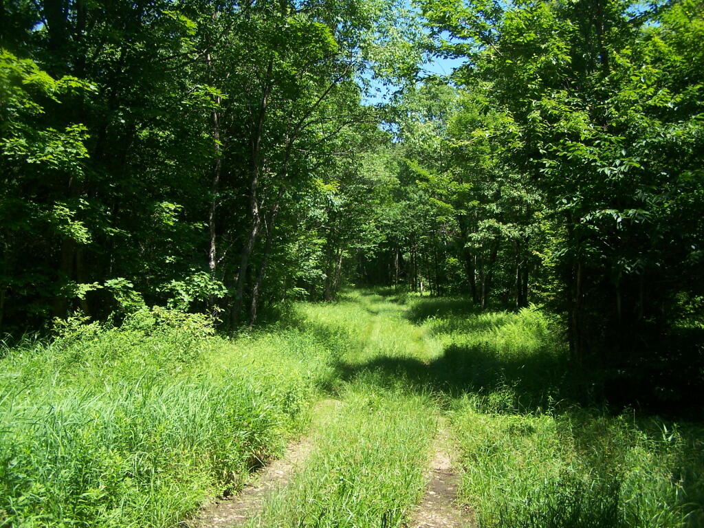 Photo: Is This the Number One Truck Trail Spur?
