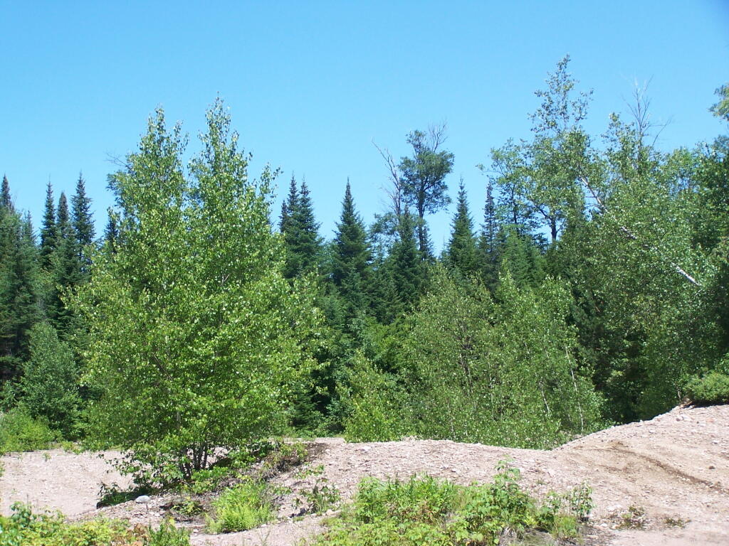 Photo: Gravel Pit Photo: Gravel Pit