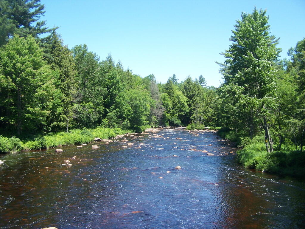 Photo: Lower Oswegatchie River