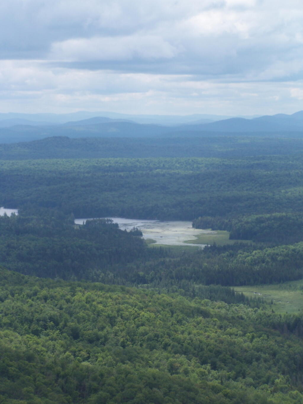 Photo: Hitchins Pond