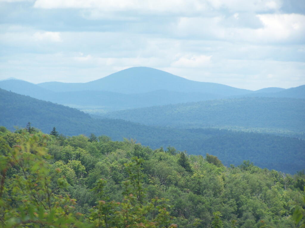 Photo: Blue Mountain