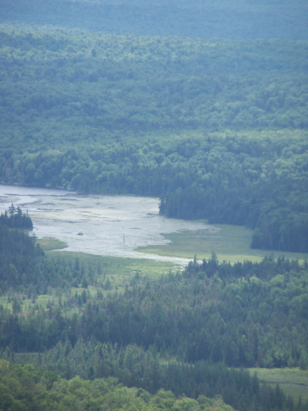 Photo: Hitchins Pond