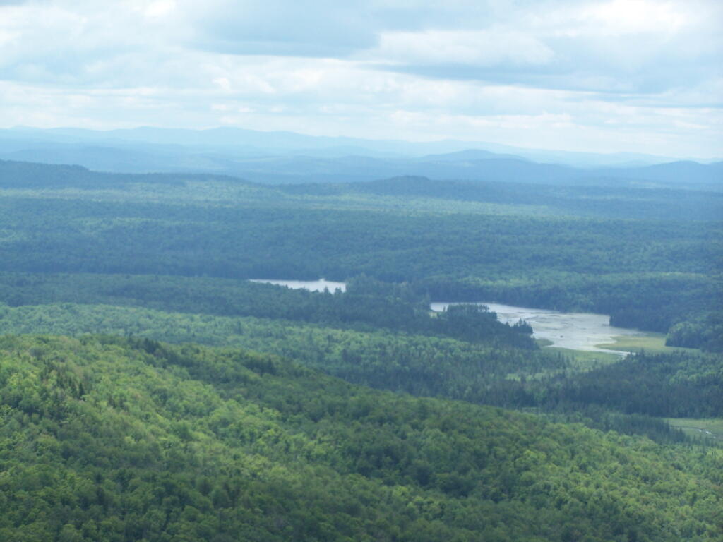 Photo: Lows Lake