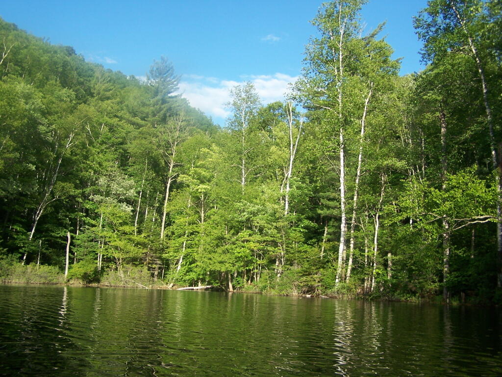 Photo: Southern End of Mountain Pond Photo: Southern End of Mountain Pond