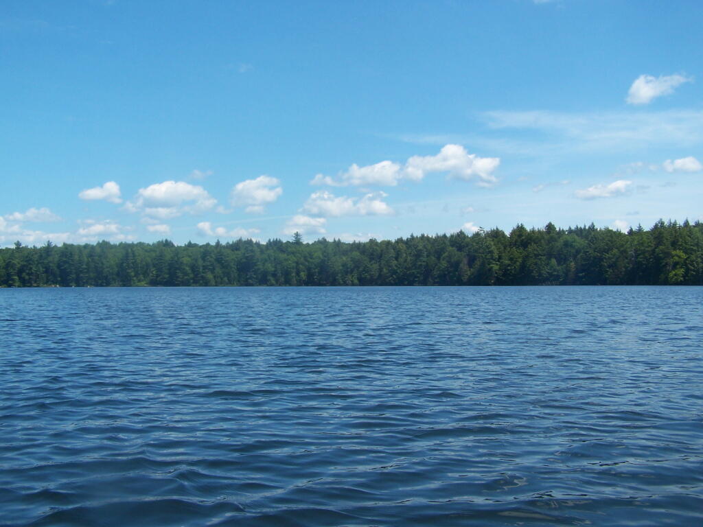 Photo: Out on Whey Pond