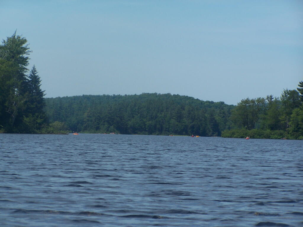 Photo: Traffic on Rollins Pond
