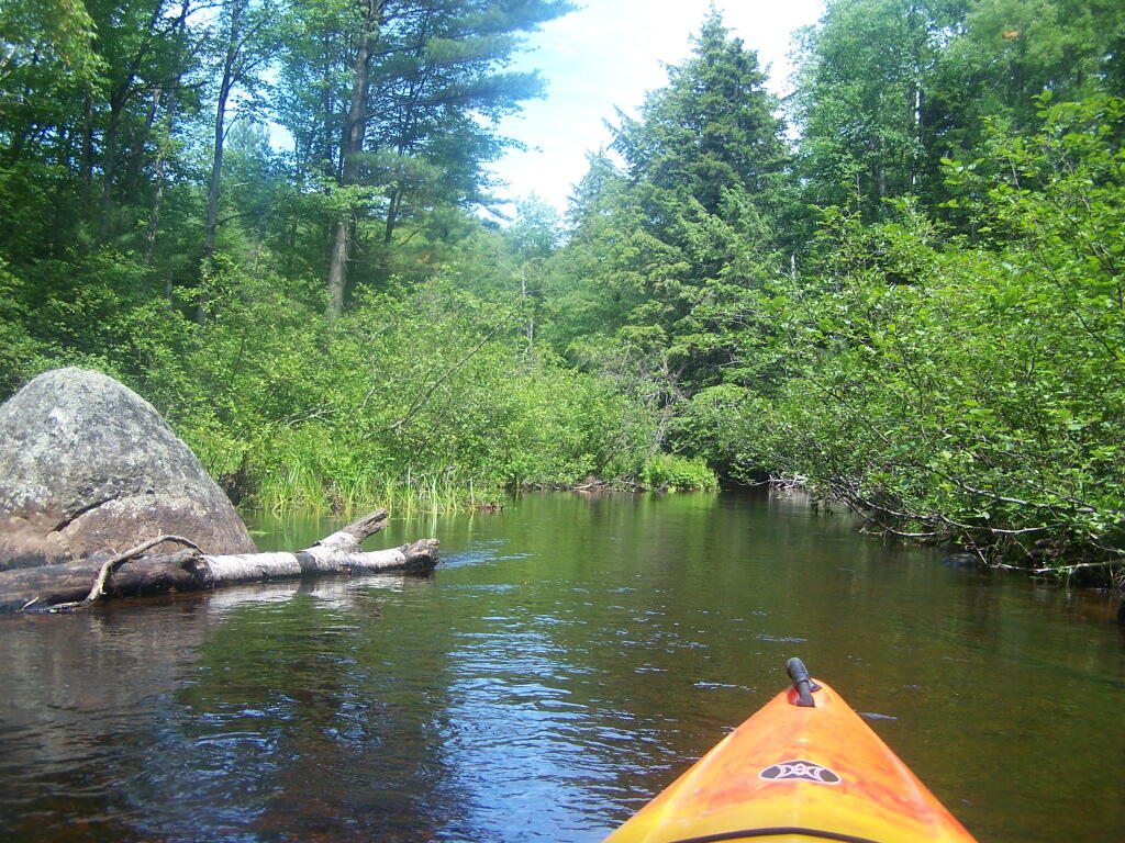 Photo: Narrow Passage Between Rollins Pond and Poliwog Pond