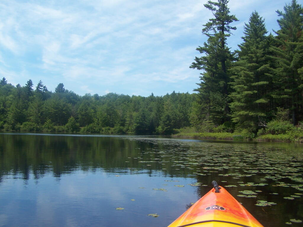 Photo: Back Out on Floodwood Pond