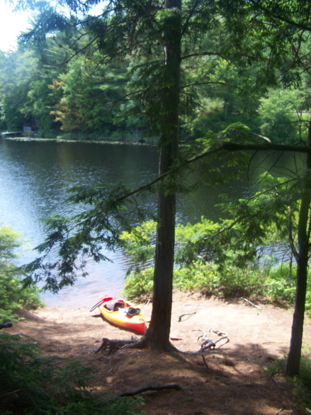 Photo: Parked a Campsite on Floodwood Pond