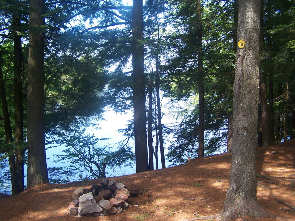 Photo: Designated Campsite on Floodwood Pond