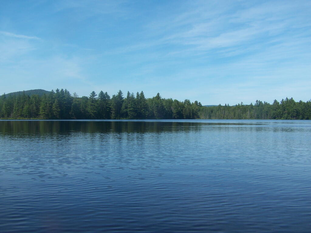 Photo: Heading Back Into Shore