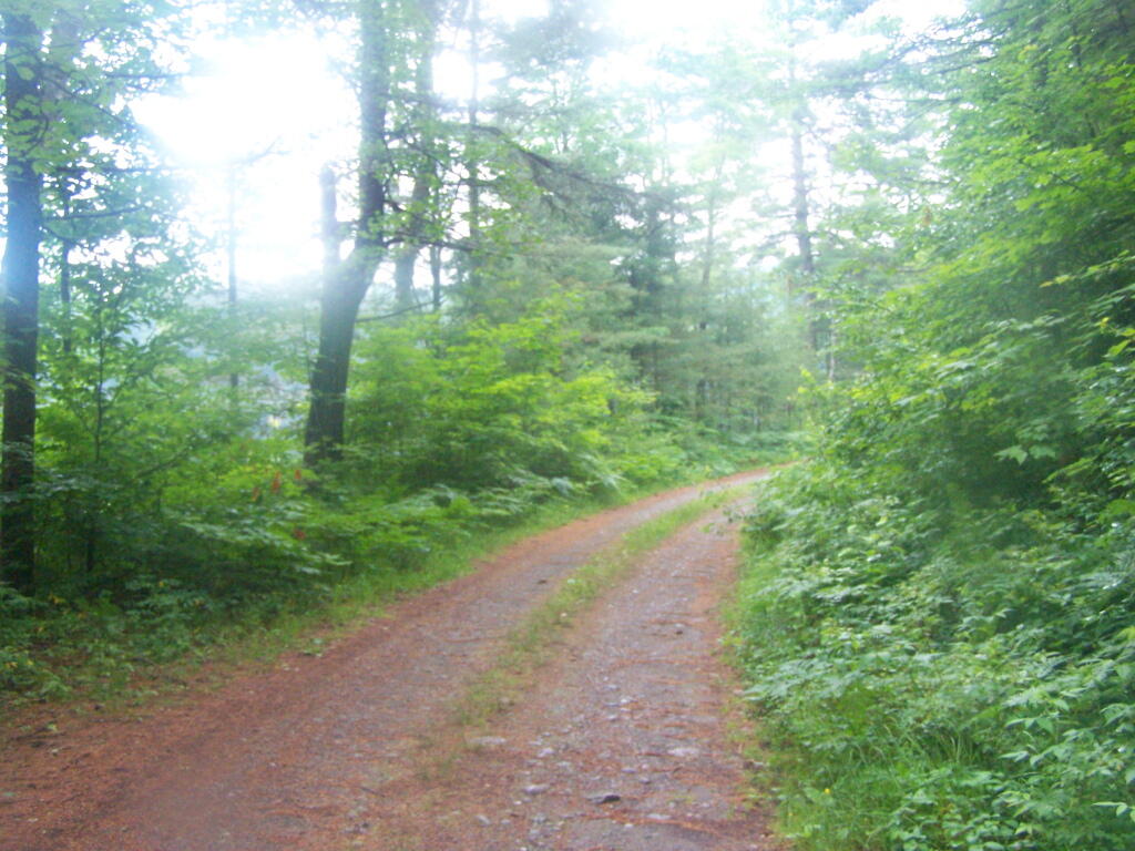 Photo: Old NY 30