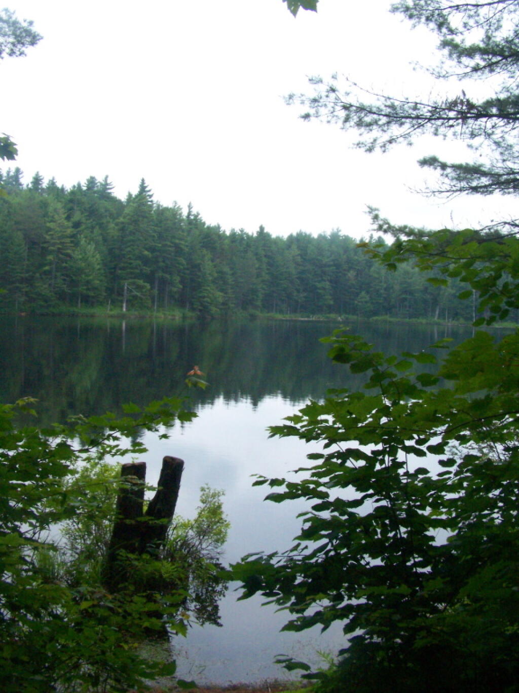 Photo: Mountain Pond Photo: Mountain Pond