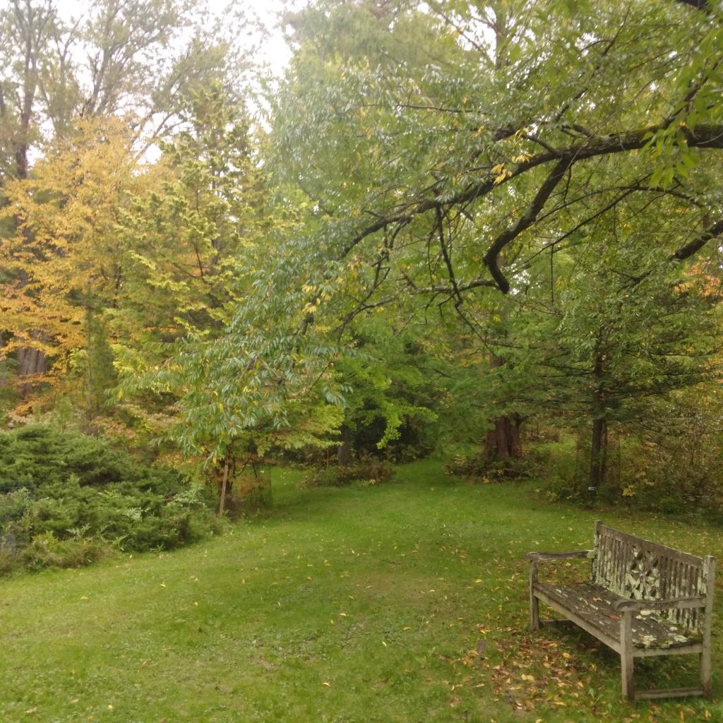 Photo: Bench