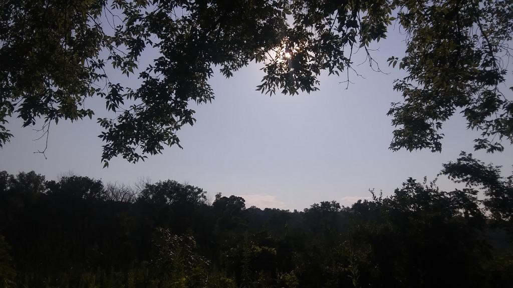 Photo: Hot evening walking along the Catharine Creek Marsh Photo: Hot evening walking along the Catharine Creek Marsh
