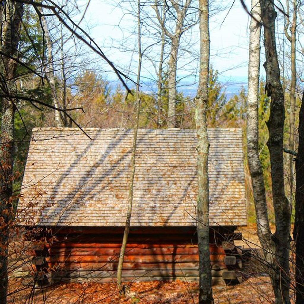 Photo: Cotton Hill Lean-to