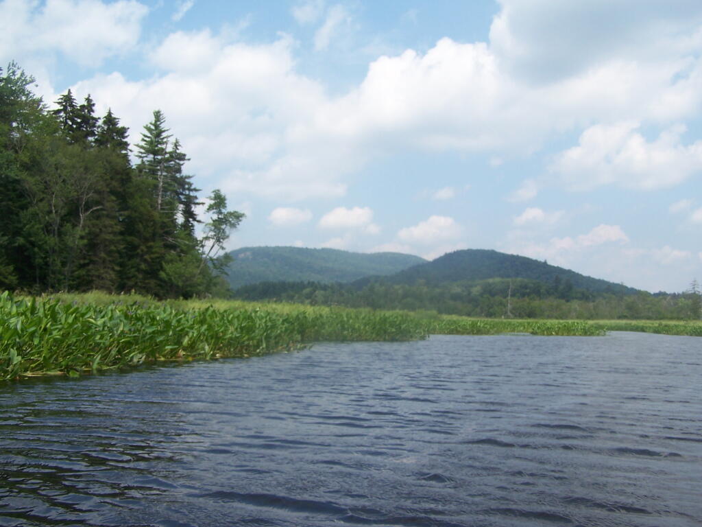 Photo: In Good Luck Lake