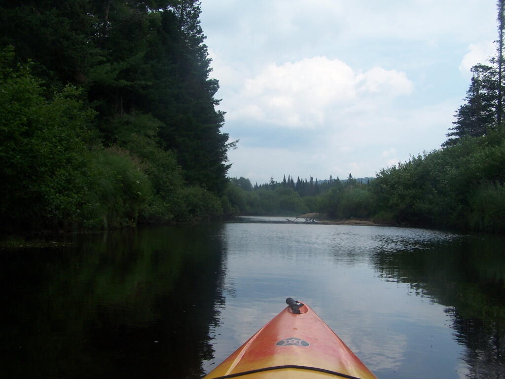 Photo: On the West Branch