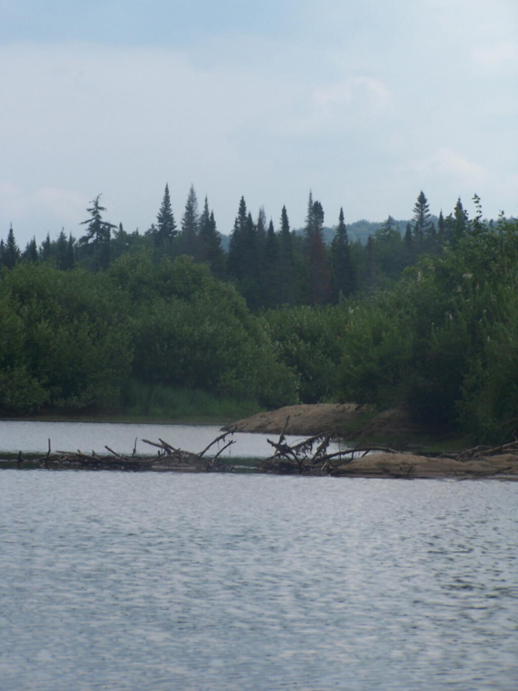 Photo: Beaver Dam