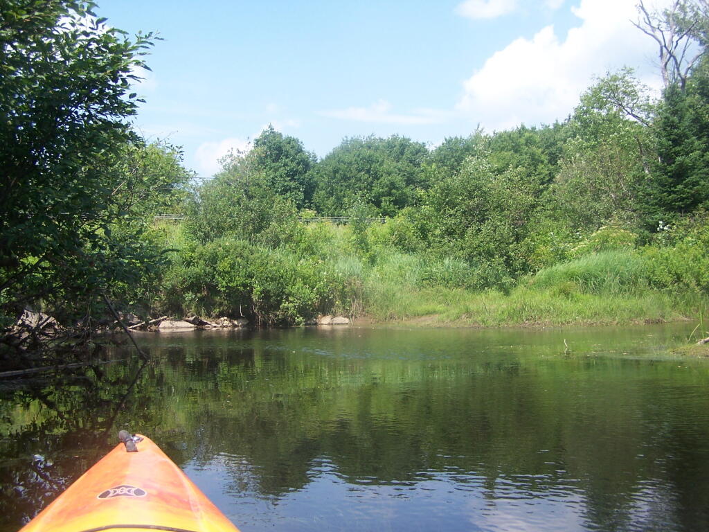 Photo: Along NY 10 Photo: Along NY 10