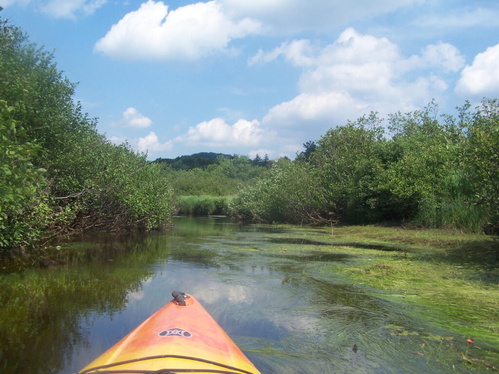Photo: West Branch is Very Shallow