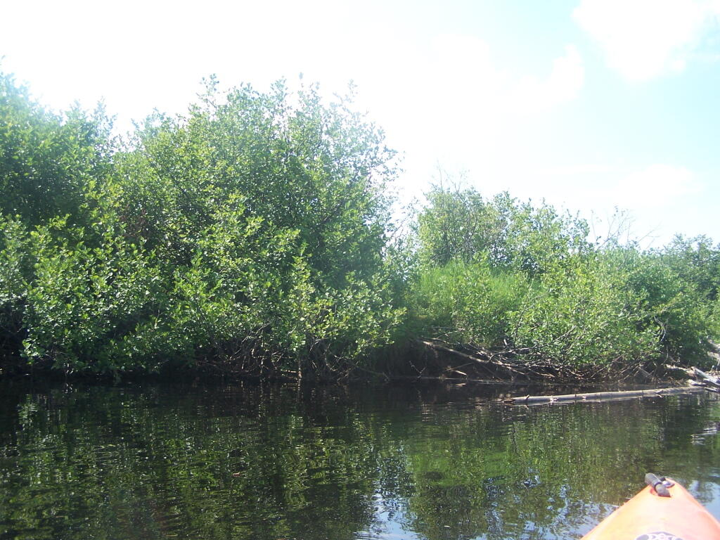 Photo: Portage Trail Photo: Portage Trail