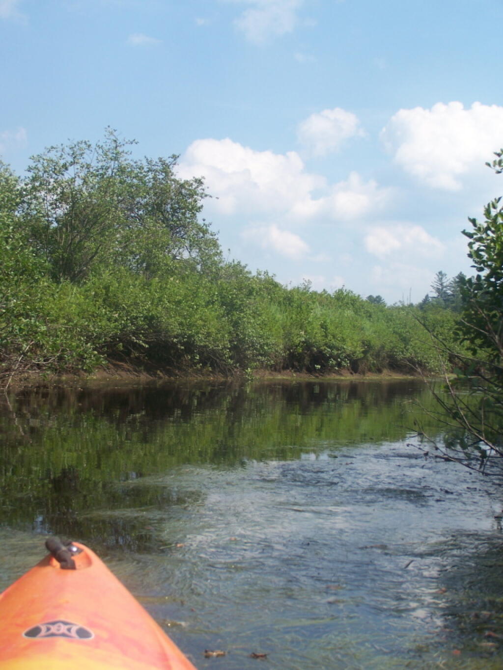Photo: Back Through the Shallow West Branch