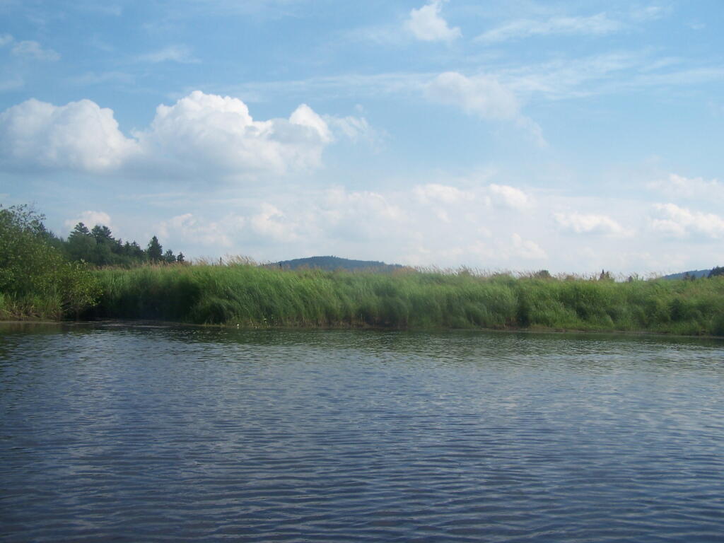 Photo: Good Luck Mountain from Outlet of Chub Lake Photo: Good Luck Mountain from Outlet of Chub Lake