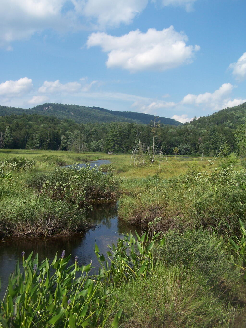 Photo: Chub Lake and Chub Lake Mountain