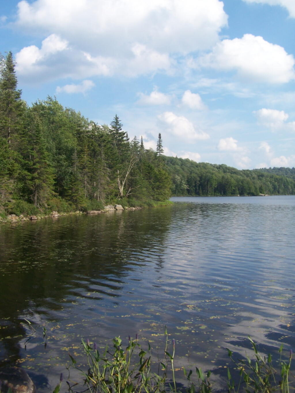 Photo: Sand Lake Photo: Sand Lake