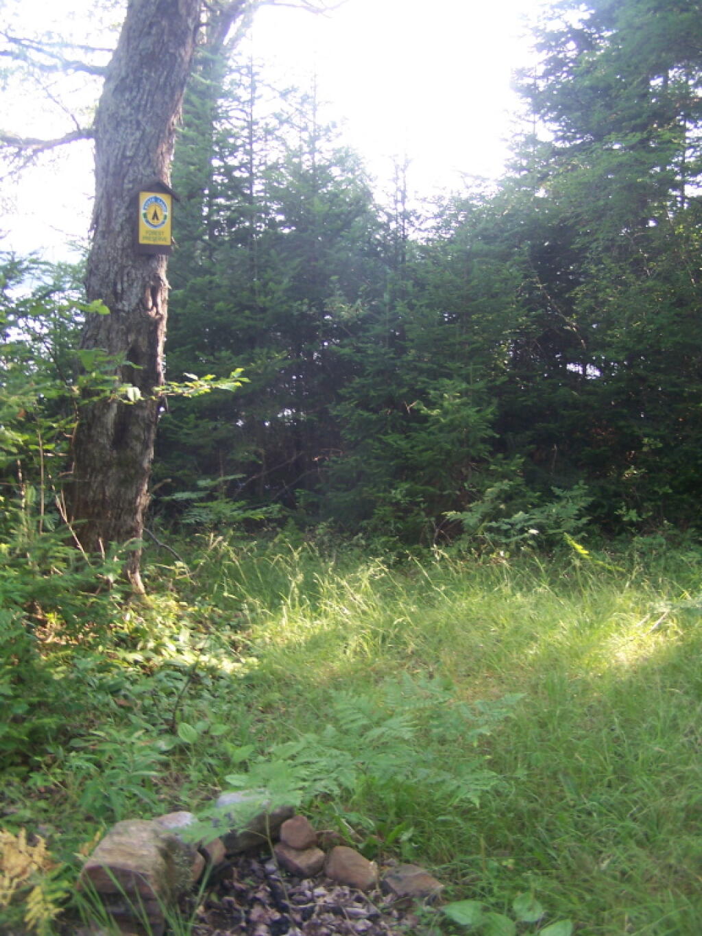 Photo: Sand Lake Campsite