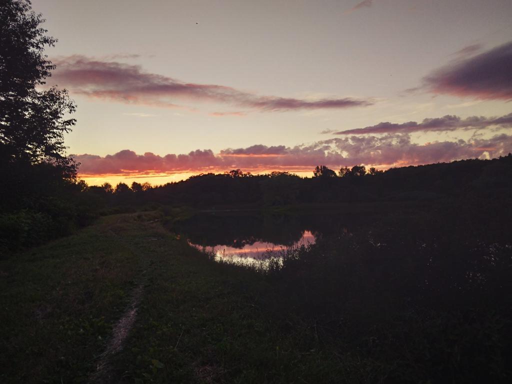 Photo: Evening at Foster Pond