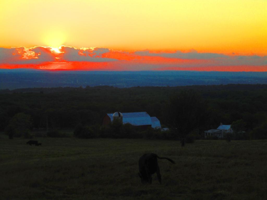 Photo: Finger Lakes Sunset