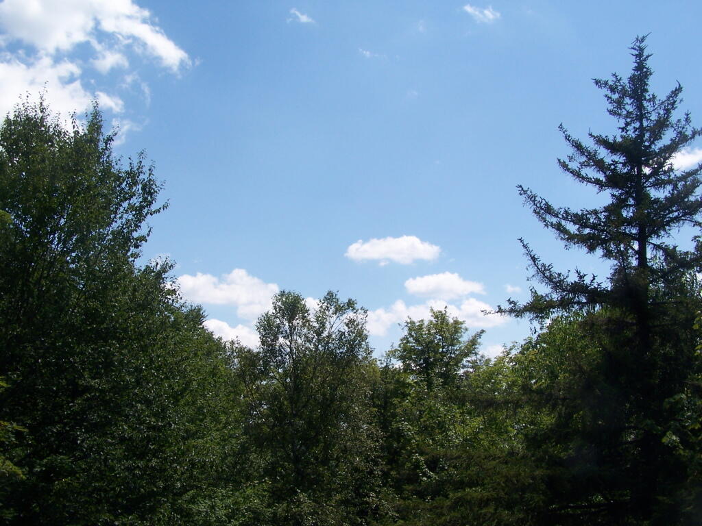 Photo: Climb Firetower