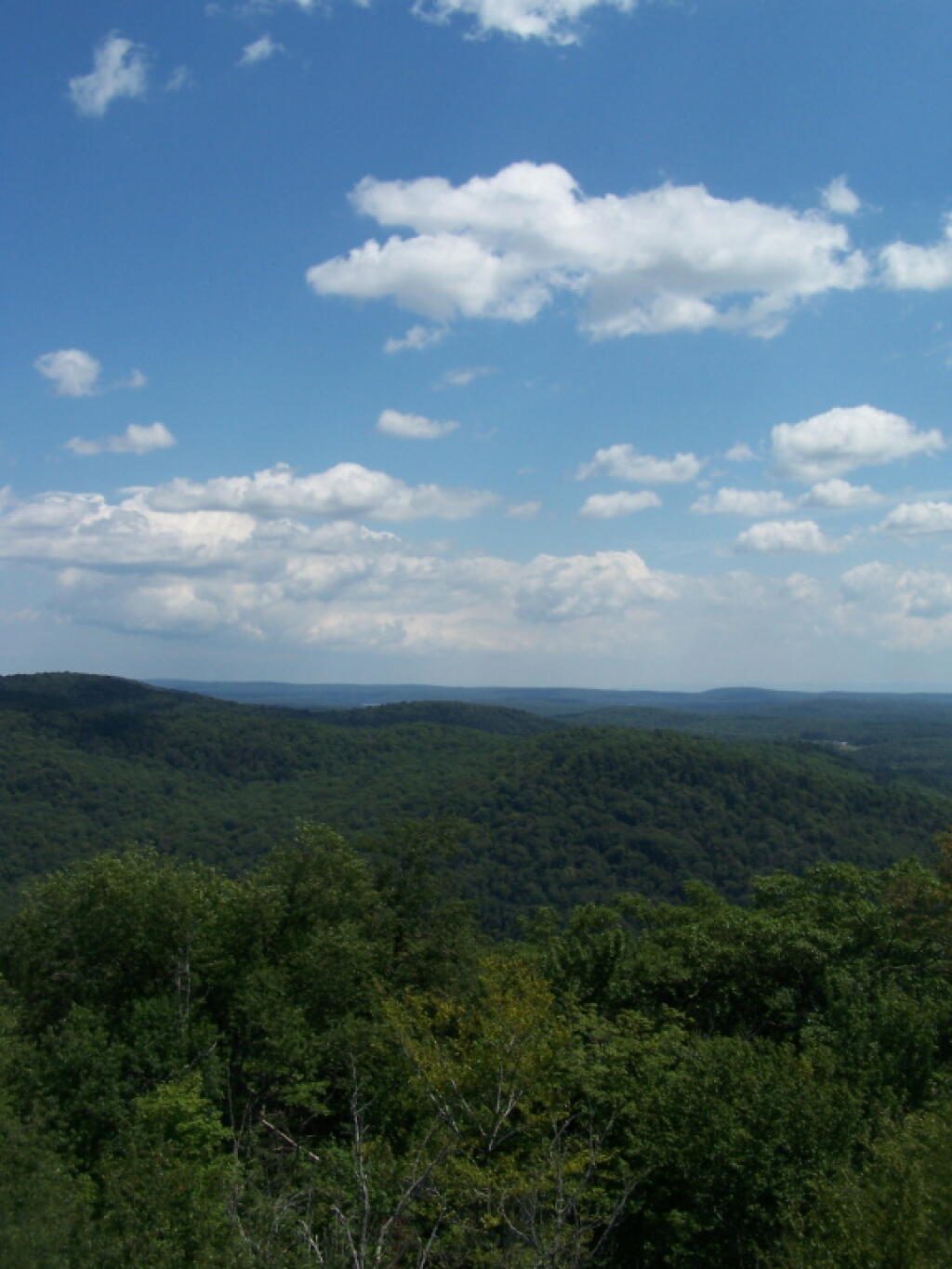 Photo: South-East
