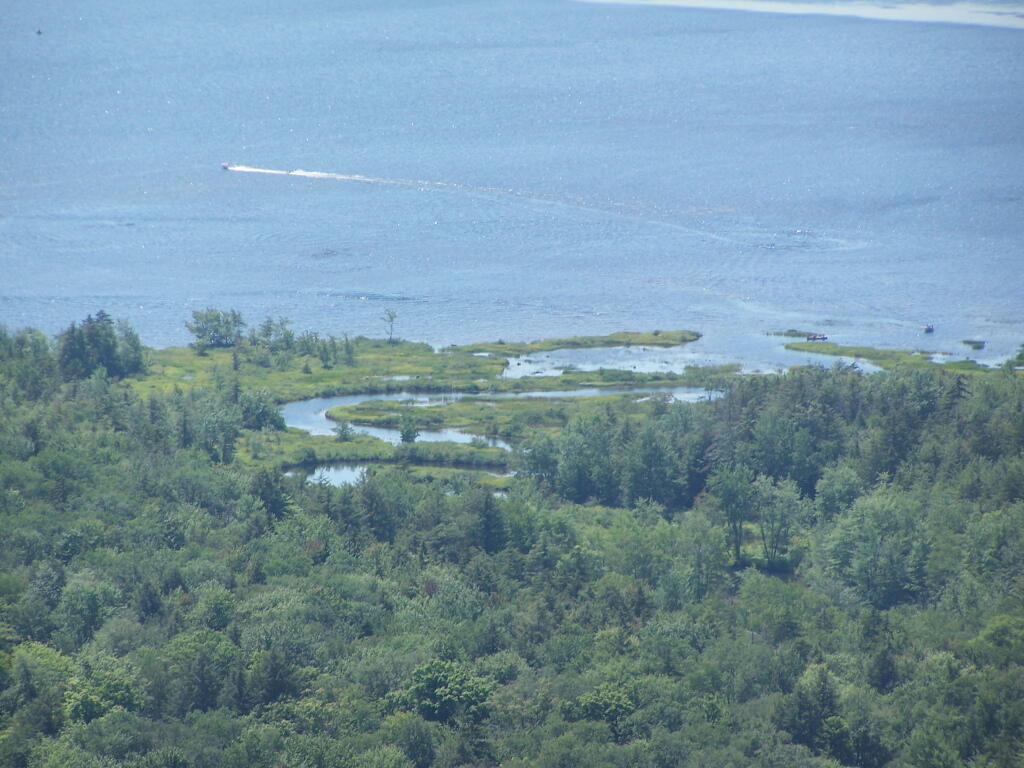 Photo: Creek Flowing Into West Lake