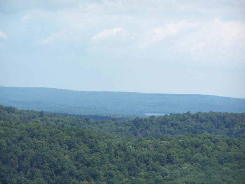 Photo: Jerseyfield Lake