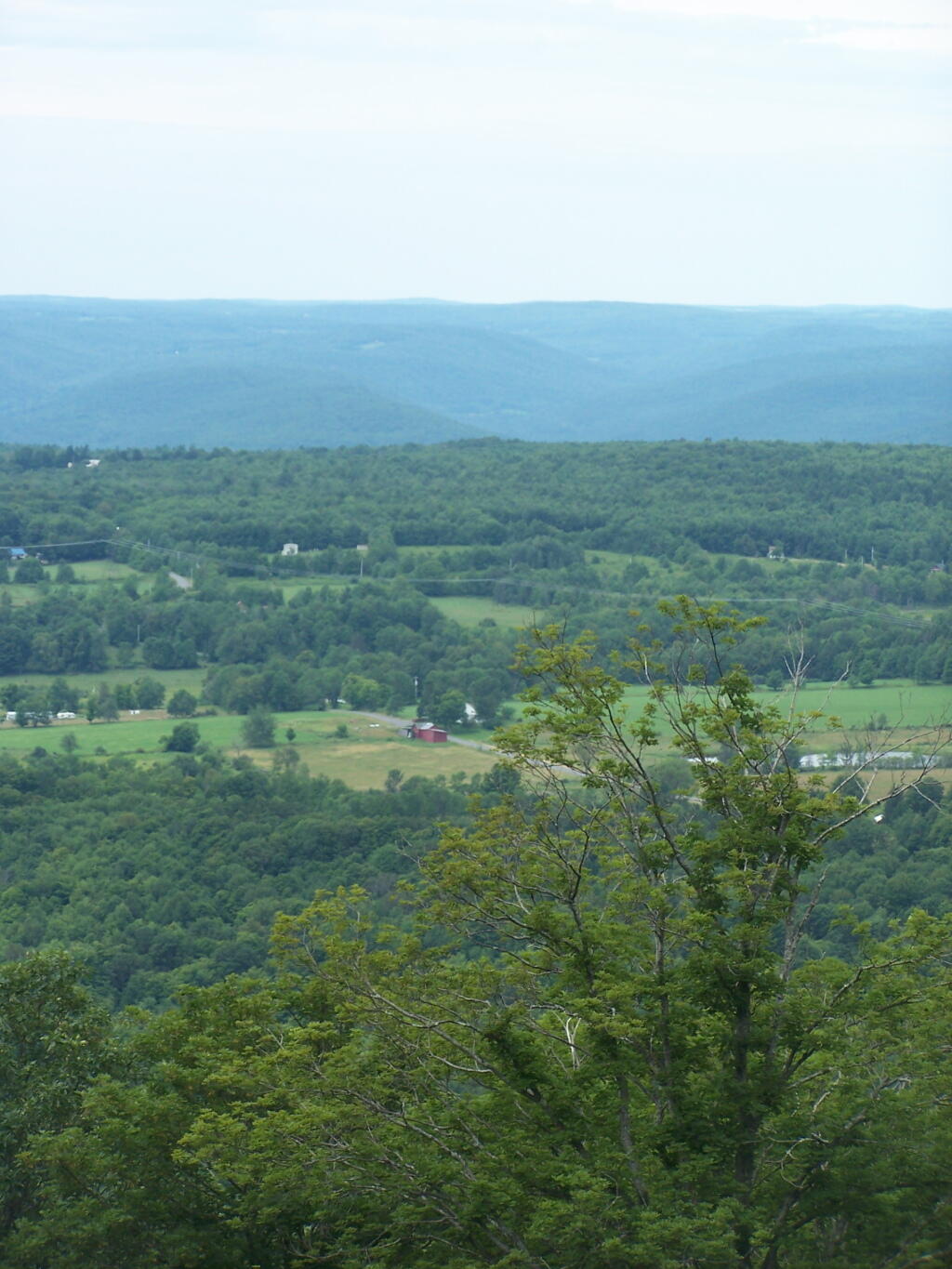 Photo: West Towards Burnt-Rossman Hills