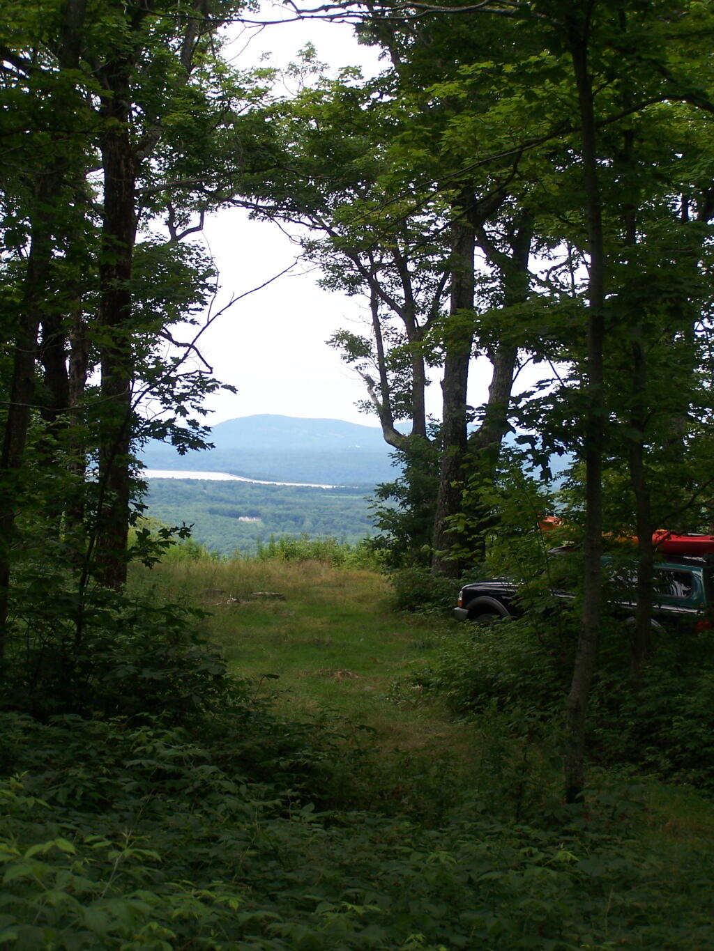 Photo: View Towards Clearing
