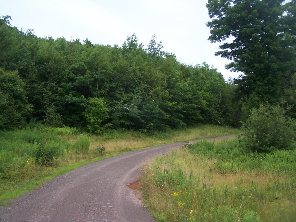 Photo: Truck Trail as It Climbs Hubbert Hill