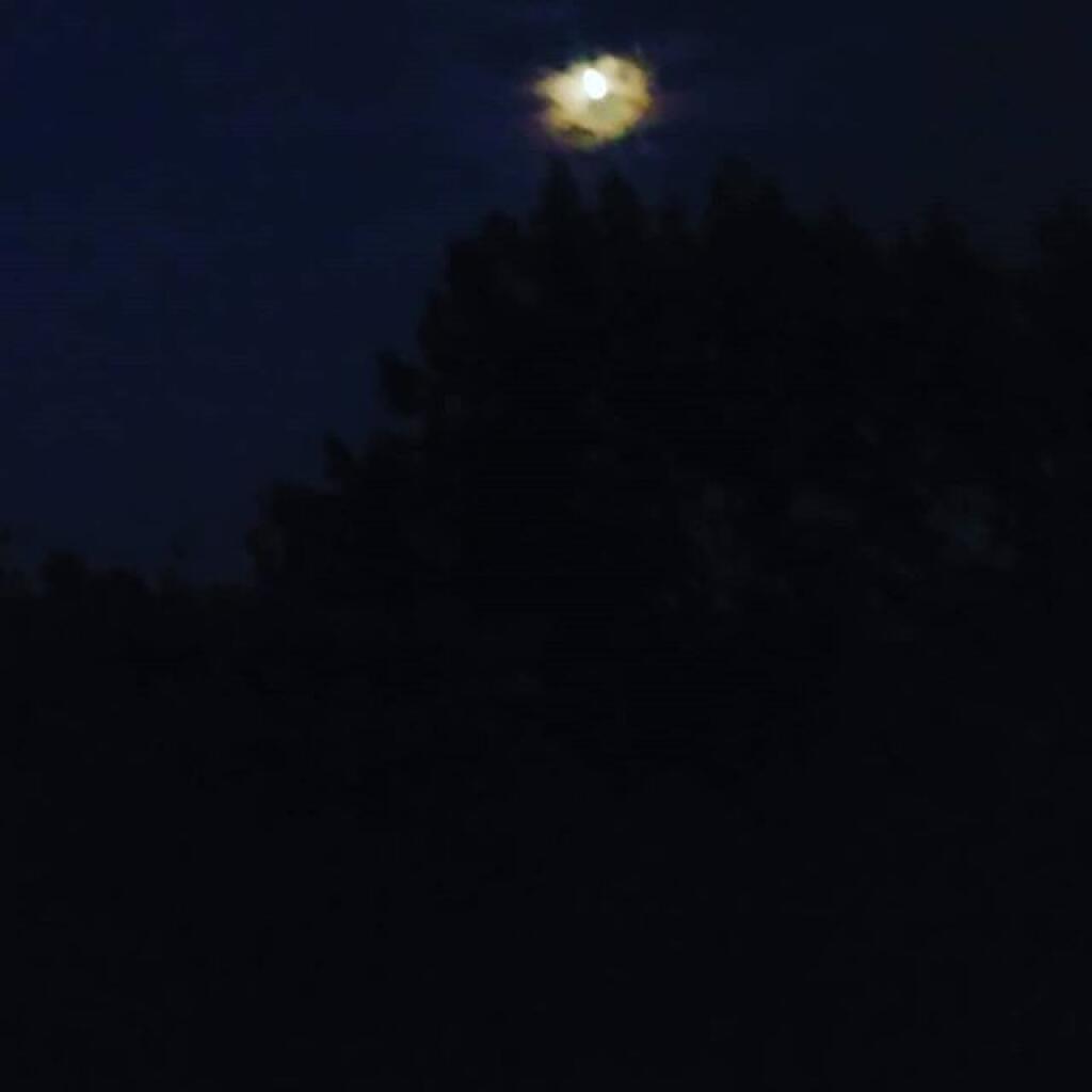 Photo: Moon through the clouds
