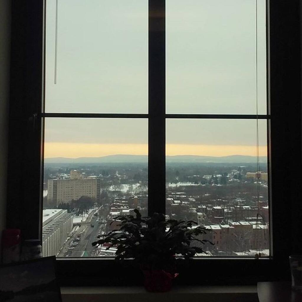 Photo: Christmas Cactus Looks Upon Dull Skies Photo: Christmas Cactus Looks Upon Dull Skies