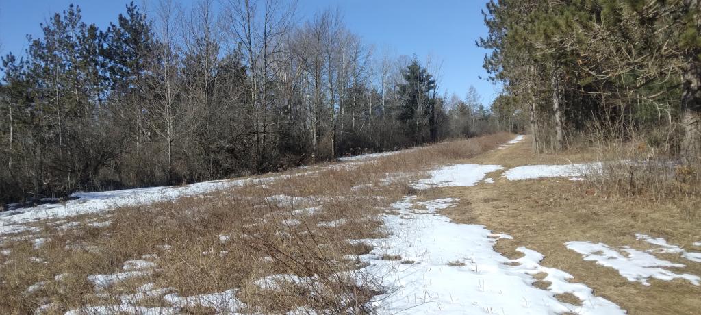 Photo: Open Area