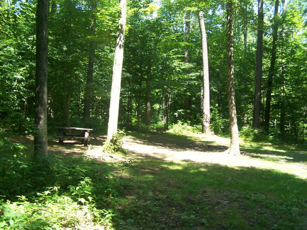 Photo: Campsite 6 Photo: Campsite 6