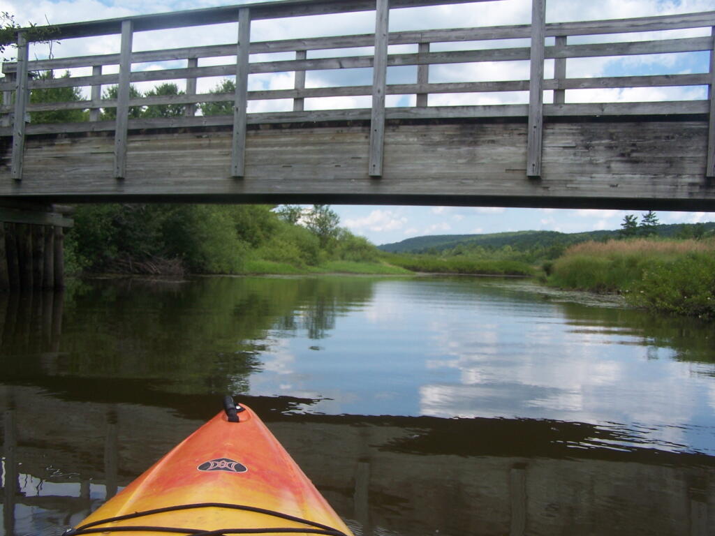 Photo: Heading Under Horse Trail 60 Bridge